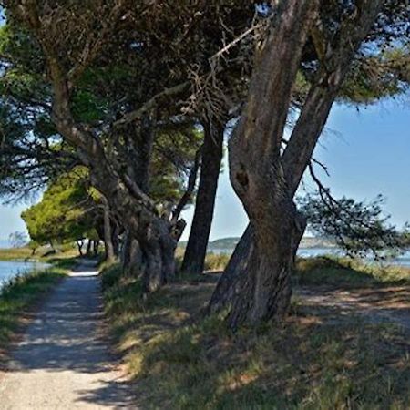 Agreable Maison De Famille Sur Gite Echarou Sigean Exteriör bild