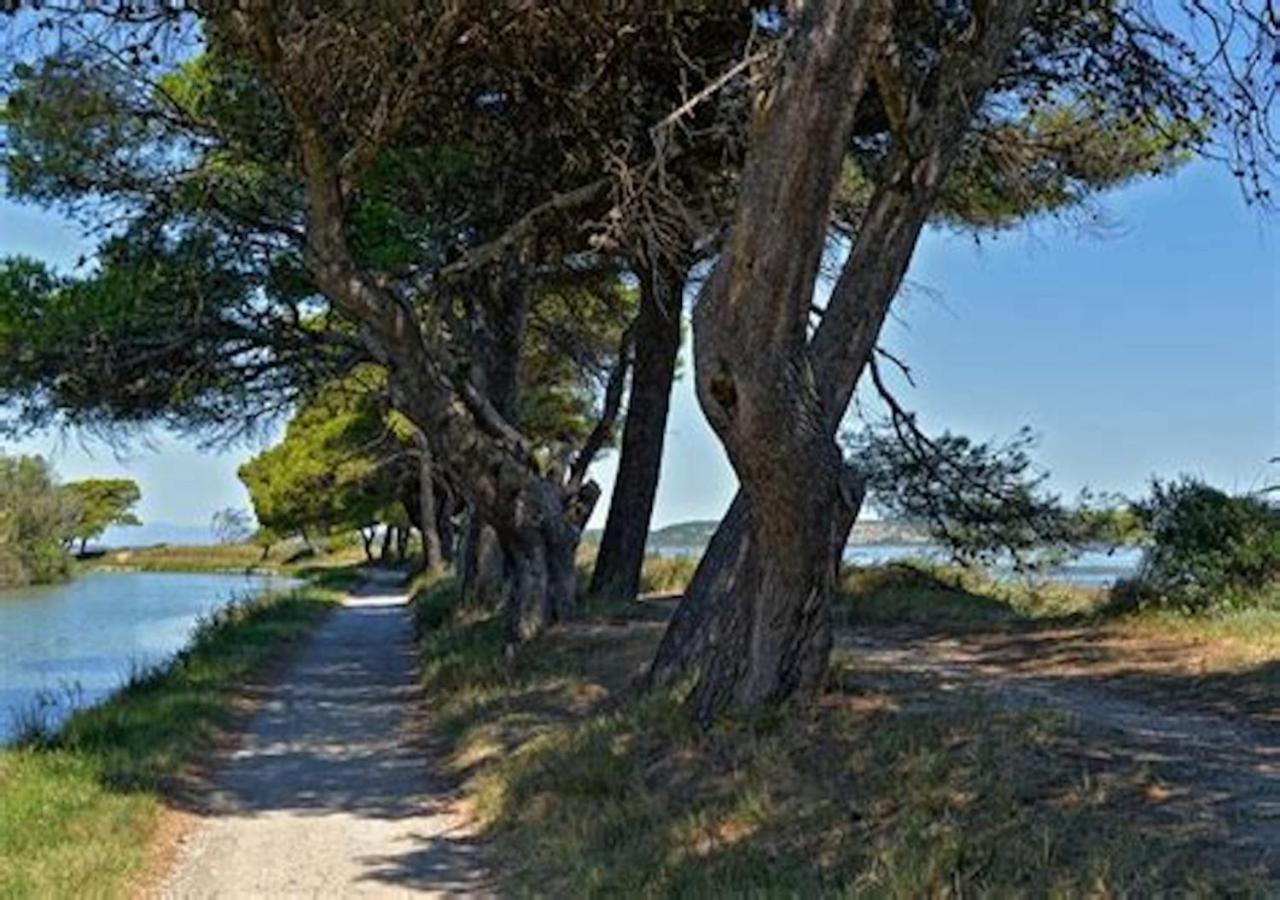Agreable Maison De Famille Sur Gite Echarou Sigean Exteriör bild